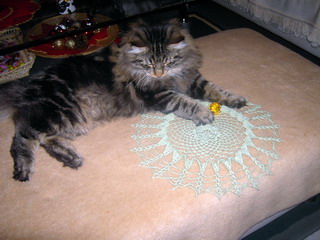 zu vergr��ern klicken